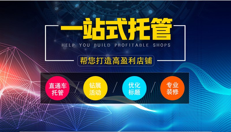 站群程序出售：电商行业的革新利器